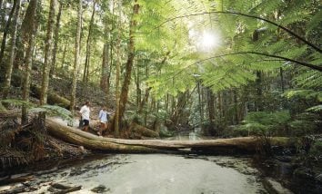 People walking across Wanggoolba Creek