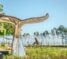 WetSide Waterpark in Hervey Bay