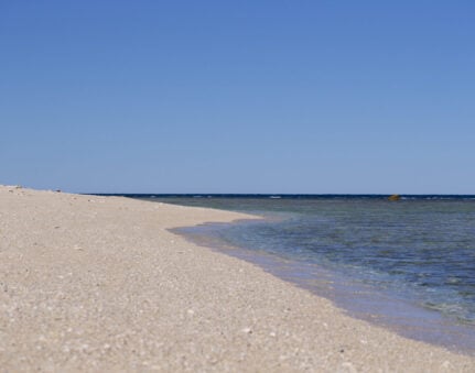 Round Island beach.