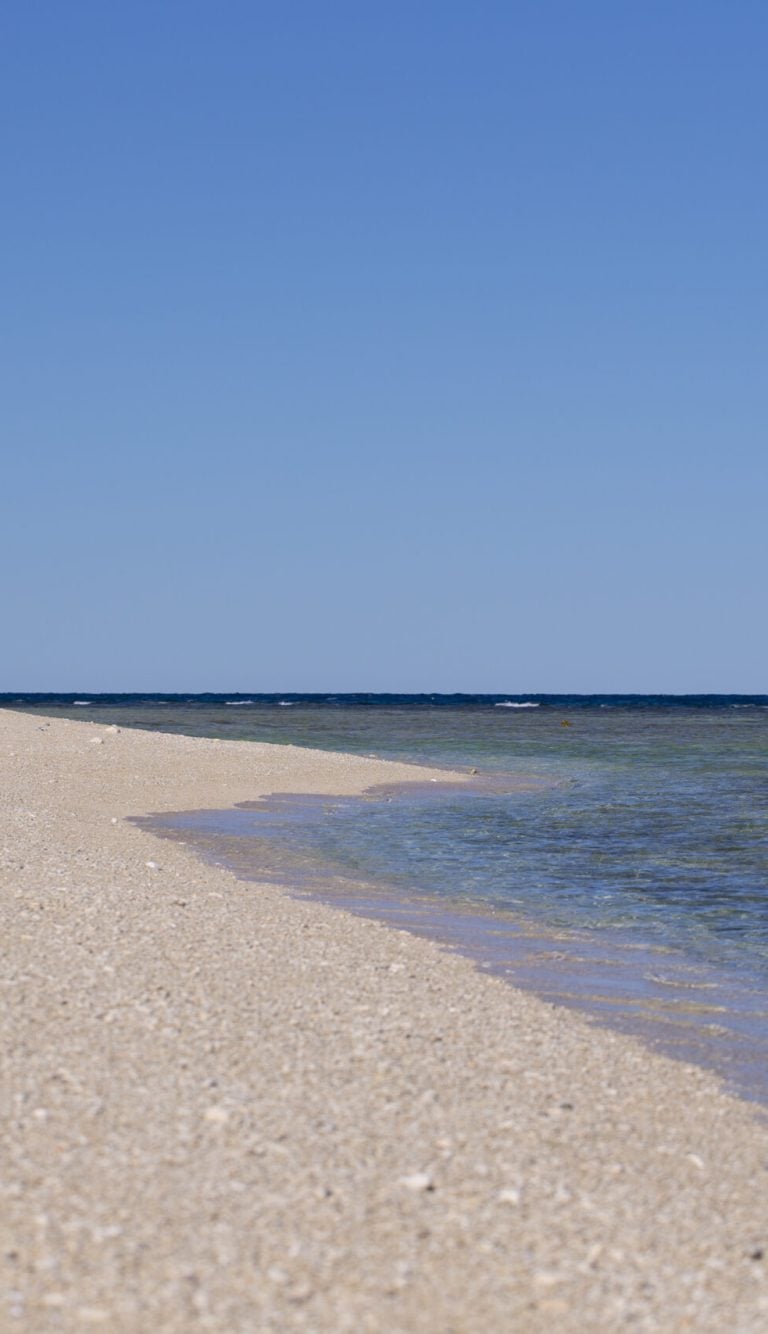 Round Island beach.