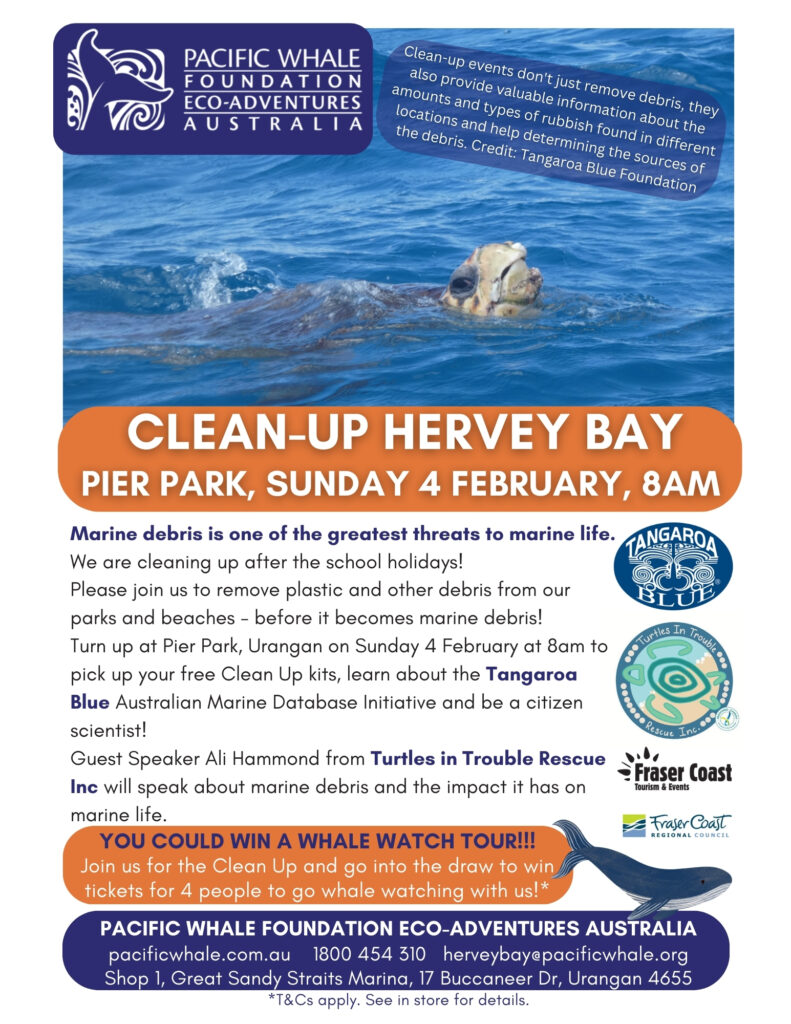 CleanUp Hervey Bay Visit Fraser Coast