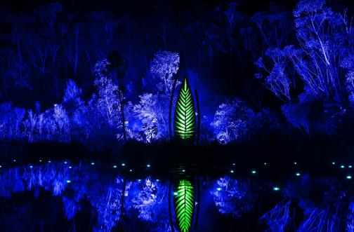 Illumina at Kingfisher Bay Resort lights up the night in shades of blue and green