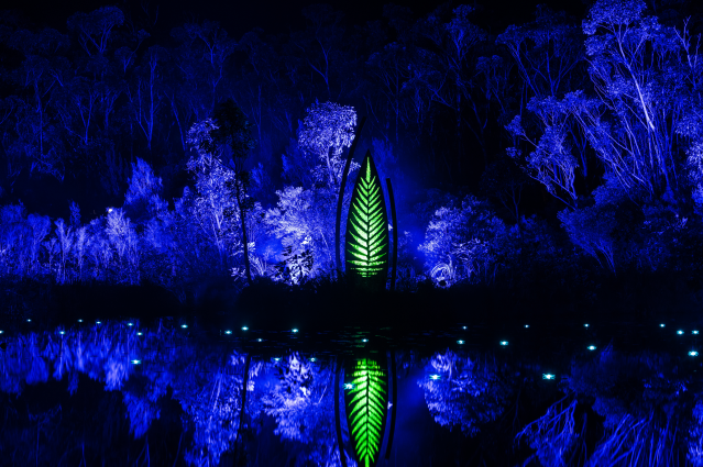 Illumina at Kingfisher Bay Resort lights up the night in shades of blue and green