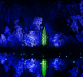Illumina at Kingfisher Bay Resort lights up the night in shades of blue and green