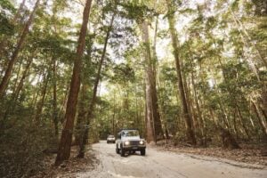 4WD car takes to sand tracks on k'gari/fraser island